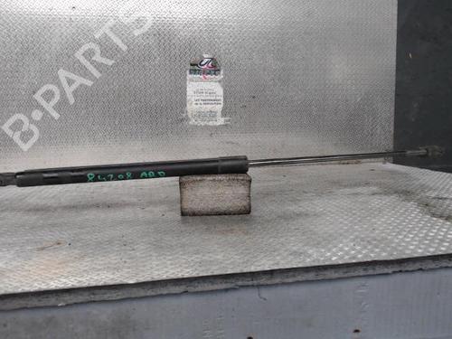 Used Tailgate lift support FORD KUGA I 2.0 TDCi (136 hp) 24094680