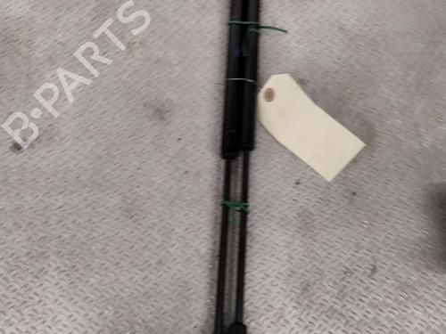 Used Tailgate lift support RENAULT MEGANE II (BM0/1_, CM0/1_) 1.5 dCi (BM1E, CM1E) (106 hp) 24841628