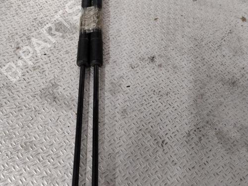 Tailgate lift support AUDI A1 (8X1, 8XK) 1.6 TDI | BP27307253C138 