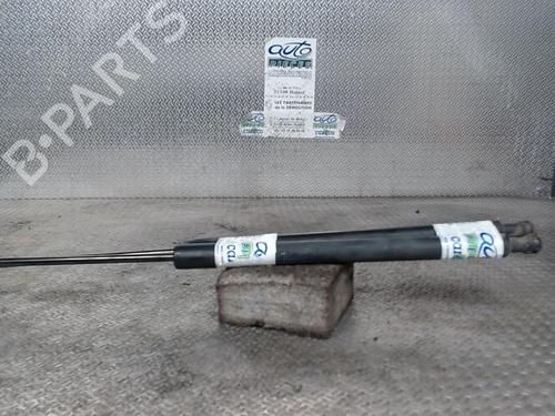 Used Tailgate lift support RENAULT SCÉNIC III (JZ0/1_) 1.5 dCi (110 hp) 24078494