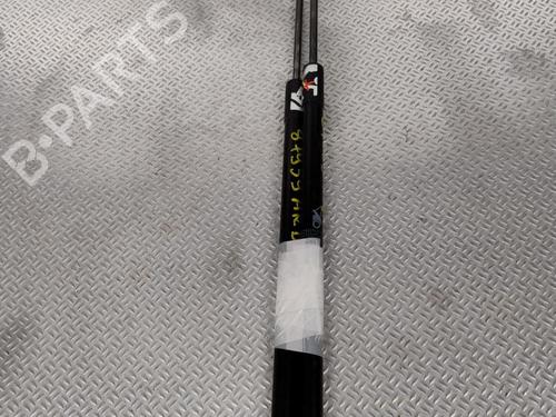tailgate-lift-support-citroen-c4-grand-picasso-ii-da_-de_-2013-25884146 main image
