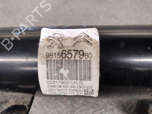Left front shock absorber CITROËN C3 III (SX) 1.2 THP 110 (SXHNPS, SXHNZT, SXHNZ6) | BP40553481M16 - Image 5