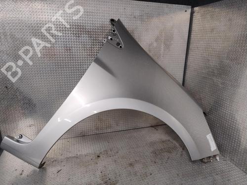 Right front fenders RENAULT CLIO III (BR0/1, CR0/1) 1.5 dCi (C/BR0G, C/BR1G) | BP29379956C42 