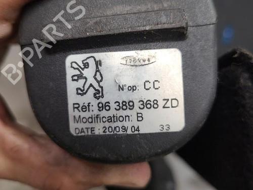 Used Rear parcel shelf PEUGEOT 307 Break (3E) 1.6 HDi (90 hp) 24099950