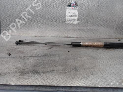 Used Tailgate lift support NISSAN JUKE (F15) 1.2 DIG-T (115 hp) 24096336