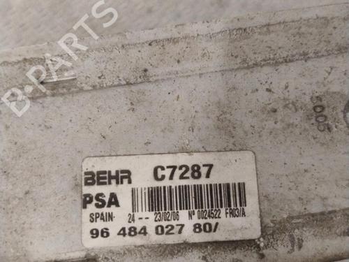 intercooler-peugeot-206-sw-2ek-2002-33248297 main image