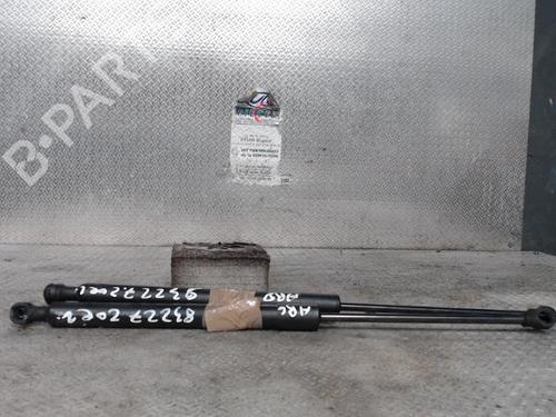 Used Tailgate lift support RENAULT ZOE (BFM_) [2012-2025]  24096084