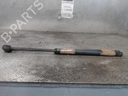 tailgate-lift-support-suzuki-swift-iii-mz-ez-2005-24088507 main image