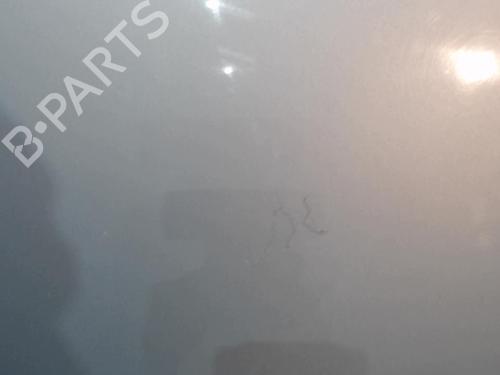 Hood PEUGEOT 407 (6D_) 2.0 HDi 135 (6DRHRH, 6DRHRE, 6DRHRG, 6DRHRJ) | BP24100219C1 