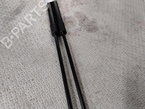 Tailgate lift support RENAULT KANGOO III Box Body/MPV 1.3 TCe 100 (FJMA) | BP29601252C138 