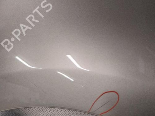 Used Right front fenders RENAULT GRAND SCÉNIC III (JZ0/1_) 1.5 dCi (JZ0B, JZ07) (106 hp) 29644453