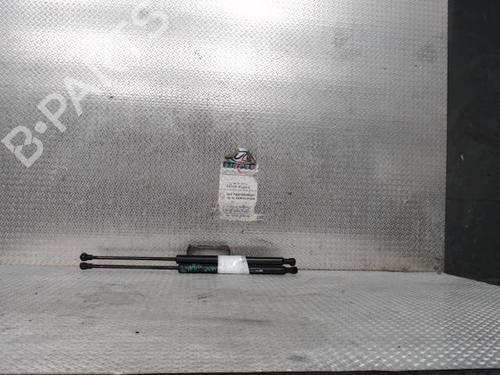 tailgate-lift-support-peugeot-208-i-ca_-cc_-2012-2013-2014-2015-2016-2017-2018-2019-2020-2021-24094233 main image