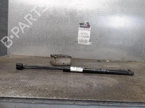 tailgate-lift-support-renault-scenic-ii-jm01_-2003-2004-2005-2006-2007-2008-2009-2010-24090724 main image