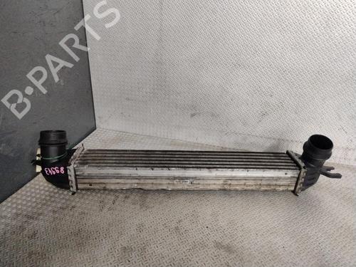 Intercooler MINI MINI COUNTRYMAN (R60) Cooper D | BP31119680M30 - Image 2
