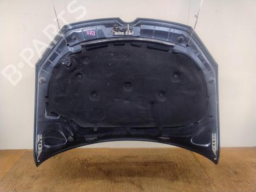 Hood VW GOLF VI (5K1) 1.6 TDI | BP32179252C1 