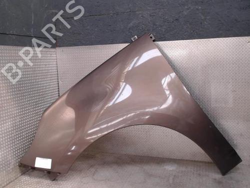 Left front fenders RENAULT SCÉNIC III (JZ0/1_) 1.9 dCi (JZ0J, JZ1J, JZ1K, JZ1S) | BP24101140C41 