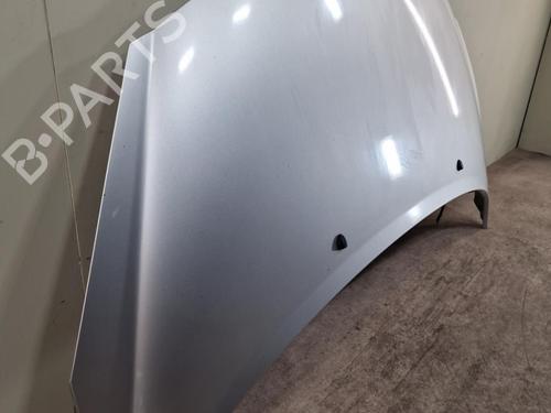 Used Hood Hood PEUGEOT 207 (WA_, WC_) 1.4 HDi (68 hp) 24094808 24094808