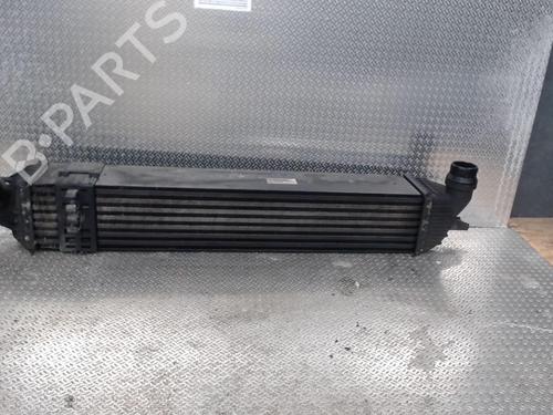 Used Intercooler Intercooler RENAULT LAGUNA III (BT0/1) 2.0 dCi (BT01, BT08, BT09, BT0E, BT0K, BT12, BT1C, BT1D,... (150 hp) 24076090 24076090