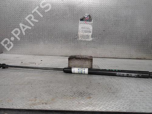 tailgate-lift-support-renault-koleos-i-hy_-2008-24097979 main image