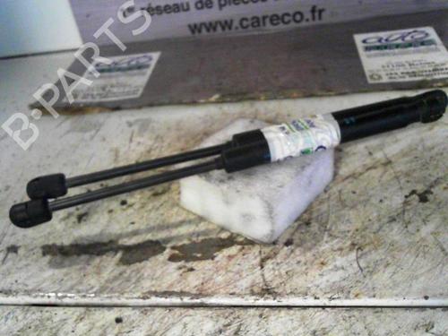 tailgate-lift-support-peugeot-407-coupe-6c_-2005-24064898 main image