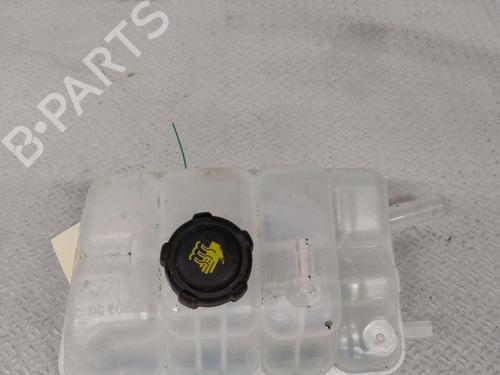 Used Expansion tank Expansion tank RENAULT KANGOO III Box Body/MPV 1.3 TCe 100 (FJMA) (102 hp) 40285806 40285806