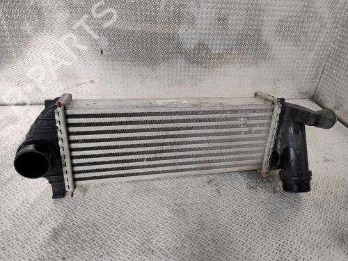 Intercooler FIAT PUNTO (199_) 1.2 (199AXZ1A, 199BXZ1A) | BP36461691M30 - Image 3