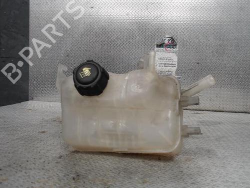 Used Expansion tank RENAULT GRAND SCÉNIC III (JZ0/1_) 1.5 dCi (JZ0B, JZ07) (106 hp) 24098384