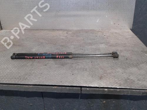 Used Tailgate lift support PEUGEOT 1007 (KM_) 1.4 (75 hp) 24089552