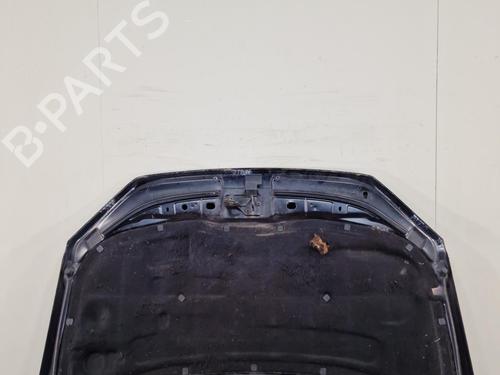 Used Hood Hood VW POLO IV (9N_, 9A_) 1.4 TDI (70 hp) 24060811 24060811