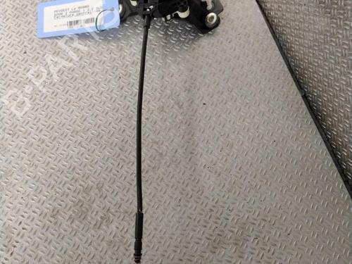 Electronic module PEUGEOT 5008 II (MC_, MJ_, MR_, M4_) 2.0 BlueHDi 180 (MJEHZW, MJEHZR, MJEHZP) | BP25703660M83