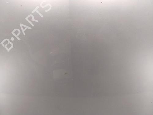 Hood RENAULT MEGANE III Hatchback (BZ0/1_, B3_) 1.5 dCi | BP29046838C1 