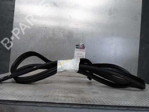 Gummilist RENAULT MASTER III Bus (JV) 2.3 dCi 125 FWD (JV0C, JV0D, JV0H, JV0G, JV0J) (125 hp) 24091150