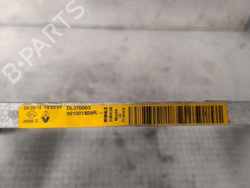 Used Heater matrix Heater matrix RENAULT SCÉNIC IV (J9_) 1.2 TCe 115 (115 hp) 32129015 32129015