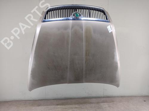 Hood SKODA OCTAVIA II (1Z3) 1.9 TDI | BP25703487C1