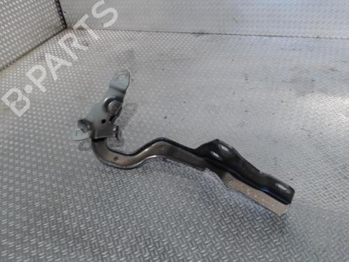 Used Hinge/Door check strap RENAULT GRAND SCÉNIC IV (R9_) 1.7 Blue dCi 120 (R9A7, R9A8) (120 hp) 24074517