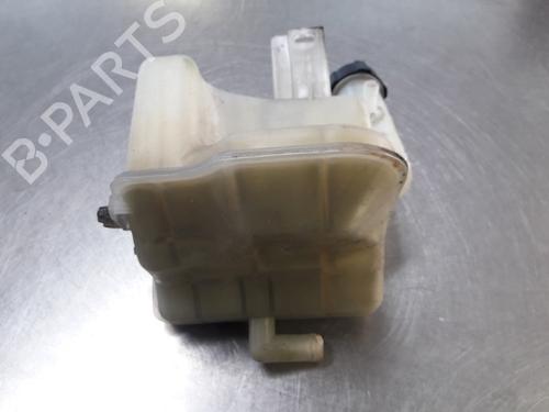 Expansion tank RENAULT LAGUNA II Grandtour (KG0/1_) 1.9 dCi (KG0E, KG0R) | BP22454946C120 