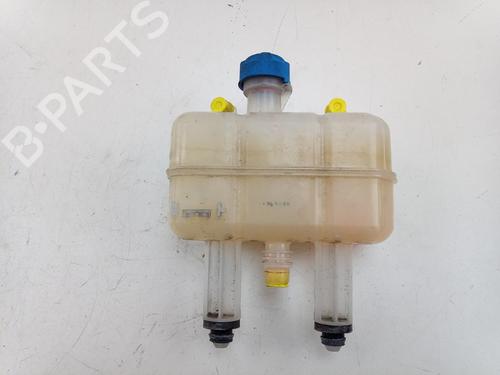 Ekpansionstank FIAT DUCATO Platform/Chassis (250_) 130 Multijet 2,3 D | BP31298247C120