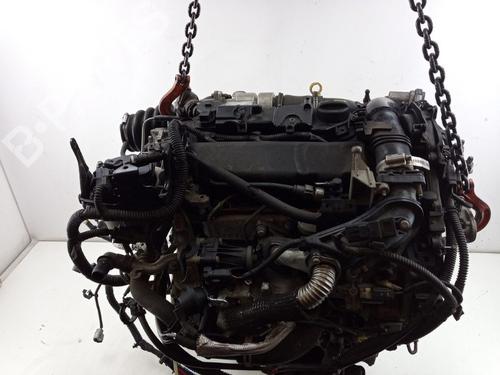 Engine FORD TRANSIT CONNECT V408 Box Body/MPV 1.6 TDCi | BP31719285M1 