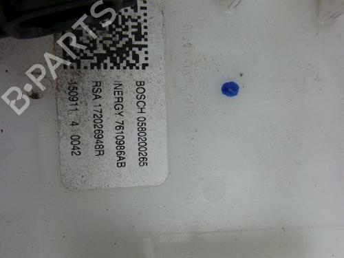 Fuel pump RENAULT ESPACE V (JR_) 1.6 TCe 200 | BP22482075M76