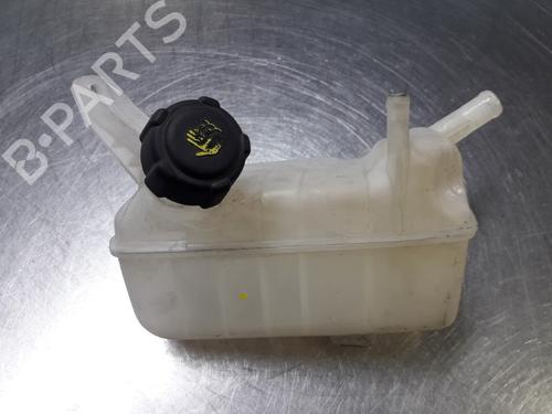 Used Expansion tank RENAULT MEGANE II Estate (KM0/1_) 1.5 dCi (KM0F, KM0T, KM2B) (82 hp) 22455253