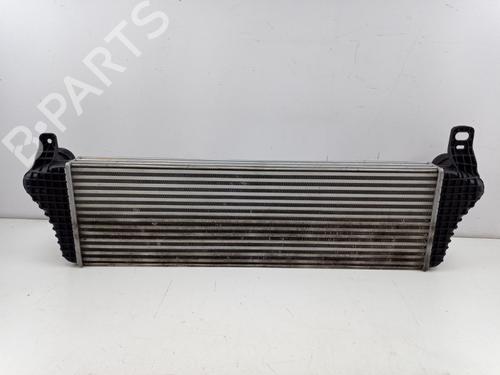 Intercooler VW TRANSPORTER T5 Van (7HA, 7HH, 7EA, 7EH) 2.0 BiTDI | BP22513559M30