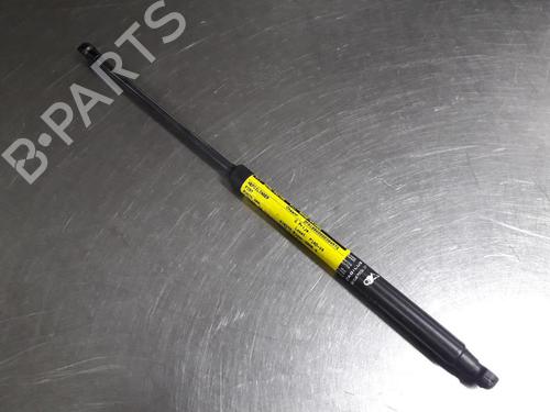 Used Tailgate lift support FIAT GRANDE PUNTO (199_) 1.4 (199AXB11, 199AXB1A, 199BXB1A, 199AXL1A) (77 hp) 22458002