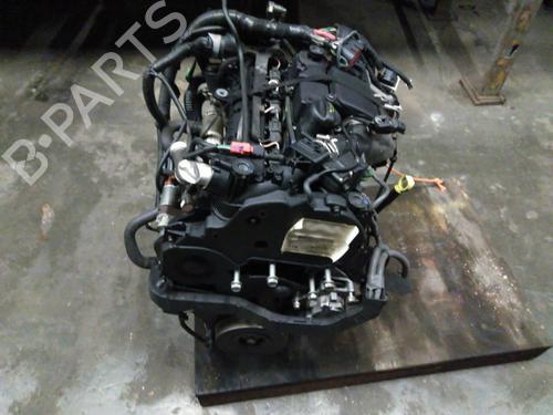 Engine FORD FIESTA VI (CB1, CCN) 1.4 TDCi | BP30837422M1