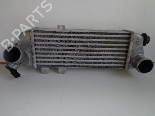 Used Intercooler HYUNDAI i30 Estate (GD) 1.6 CRDi (110 hp) 22468691
