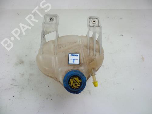 Used Expansion tank FIAT DOBLO Cargo (263_) 1.6 D Multijet (263WXD1B, 263WXR1B, 263WXX1B, 263ZXD1B,... (105 hp) 22486618