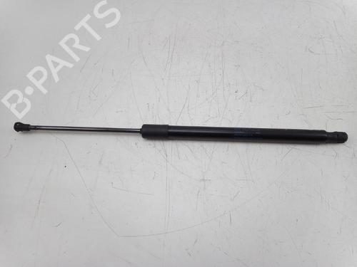Used Tailgate lift support VW GOLF VII (5G1, BQ1, BE1, BE2) 1.0 TSI (86 hp) 22494904