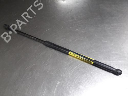 tailgate-lift-support-ford-fiesta-vi-cb1-ccn-2008-30837431 main image