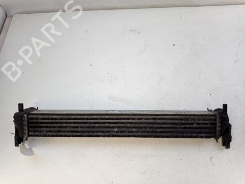 Intercooler SKODA FABIA II Combi (545) 1.2 TDI | BP37428010M30 - Image 3