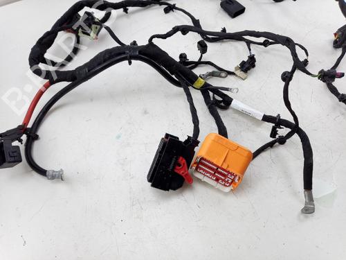 Wiring harness POLESTAR POLESTAR 2 (534) EV | BP31932740E16