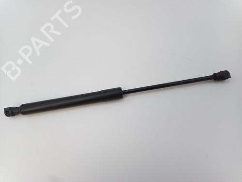 Used Hood lift support RENAULT KANGOO / GRAND KANGOO II (KW0/1_) 1.2 TCe 115 (KW02, KW14) (115 hp) 22492507